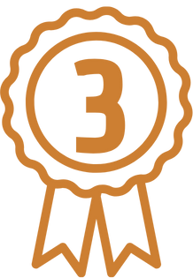 Bronze Medal